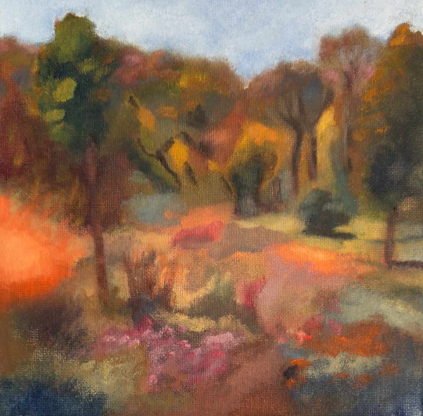 The Forest Edge