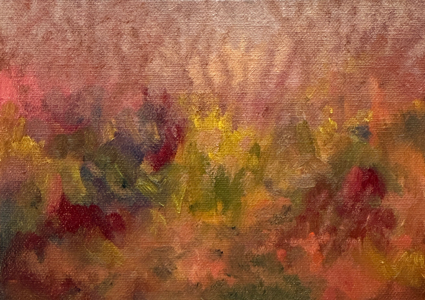 Forest in Sunset