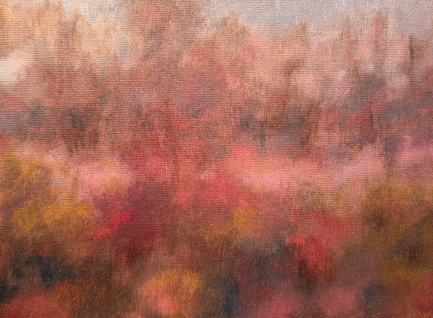 The Forest Between Us